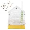Acryl Ant Nest Villa Farm House Formicarium pour Voir les images du produit 2