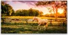 Glasbilder 140x70 Wandbild Druck auf Glas Pferd Wiese Tiere Produktbild-Vorschau 1