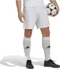 Kraťasy Adidas HG6295 pro Pánské Náhled obrázku produktu 2