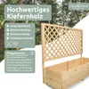 holz4home® Pflanzkasten mit Rankgitter XL aus Kiefernholz I Produktbild-Vorschau 2