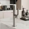 Kuchyňská Baterie Rea Lago Kartáčová Ocel Náhled obrázku produktu 6