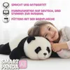 Interaktiver KI-Panda mit ChatGPT – Elektronisches Produktbild-Vorschau 7