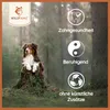 A dog sitting on a tree stump in a forest setting, with marketing icons and text on the right side. Anteprima dell’immagine prodotto