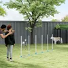 PawHut Hunde Agility Training Slalomstangen für Haustiere Produktbild-Vorschau 7