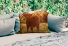 MuchoWow® Outdoor Kissen - Schottisches Hochlandrind - Gras Produktbild-Vorschau 2