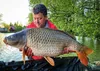 Carp Food Perfection Pop-Up 16mm/70g Pacifická Sardinka Náhled obrázku produktu 4