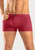 H.I.S. Boxer Boxershorts für Herren 5 -teilig rot, blau, Produktbild-Vorschau 2
