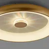 LED Deckenleuchte, messing, dimmbar, Fernbedienung, H 9,5 Produktbild-Vorschau 9