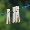 Wäscheklammer aus Bambus ( 6cm ), 96 Stück, Bambusklammer Produktbild-Vorschau 8