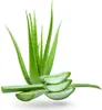 INSTITUTO ESPAÑOL | ALOE VERA INSTITUTO ESPAÑOL | Body Care Voir les images du produit 6