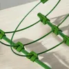 Podpora pierścieniowa do roślin kwiatów 60 cm stelaż Podgląd zdjęcia produktu 8