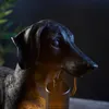 Tischleuchte Dachshund | 1-flammig | 10W E27 | Produktbild-Vorschau 5