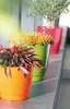 Blumentopf Coubi Rund mit Schale Creme 10 cm Produktbild-Vorschau 5
