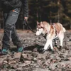 A person walking a husky dog on a rocky path in a forest. Produktbild-Vorschau