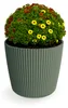 Prosperplast Pflanztopf Buckingham - tannengrun - D19 cm Produktbild-Vorschau 2
