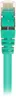 Patchkabel RJ45 Cat.6 SFTP (grün, 5 Meter) Produktbild-Vorschau 5
