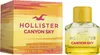 Hollister California Canyon Sky For Her Eau De Parfum 100 Produktbild-Vorschau 2