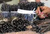 Ziarna wanilii 14 szt. 12-14 cm Ziarna wanilii BRUTTO Podgląd zdjęcia produktu 3