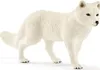 Schleich - Volpe polare - Schleich - (Giocattoli / Anteprima dell’immagine prodotto 1