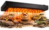 Terrario AeroTherm 16W - Heizpaneel für das Terrarium Produktbild-Vorschau 10