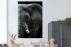 MuchoWow® Poster Tiere - Elefant - Wild - Schwarz - Weiß Produktbild-Vorschau 2