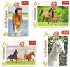 TREFL Display Puzzle World of Horses 54 Teile (40 Stück) Produktbild-Vorschau 4