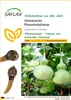 SAFLAX - Afrikanische Riesenkalebasse - 15 Samen - Produktbild-Vorschau 1