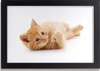 Bild 30x20 MDF-Rahmen, Wandkunst rote Katze Produktbild-Vorschau 1