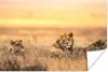 MuchoWow® Poster Löwen - Gras - Himmel 30x20 cm - Plakate - Produktbild-Vorschau 1