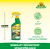 Neudorff Neudorff BioKraft Grundstoff Schachtelhalm AF 500 Produktbild-Vorschau 3