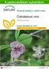 SAFLAX - čokoládové víno - Akebia quinata - 10 Semená - S Náhľad obrázku produktu 1