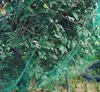 4 Stück Vogelnetze 4 x 5 m Vogelschutznetz Vogelabwehr Produktbild-Vorschau 5