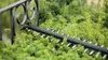 Accuheggenscharen UniversalHedgeCut 18V-55 Productafbeelding-voorbeeld 5