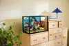 LEGO ICONS 10366 Tropisches Aquarium Produktbild-Vorschau 12