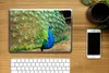 MuchoWow® Laptop Aufkleber Sticker Cover Pfau - Federn - Produktbild-Vorschau 2