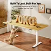 SANODESK QS1 Scrivania regolabile in altezza 180x80 cm, Anteprima dell’immagine prodotto 5