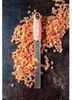 Microplane Premium Zester Zimt Orange 46823E Produktbild-Vorschau 2