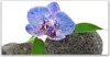 Acrylglasbilder 120x60 Wandbild Druck Blume Pflanzen Produktbild-Vorschau 1