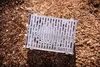 SKOTTI MINI steckbarer Edelstahl Grill Produktbild-Vorschau 11