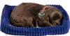 Perfect Petzzz Chocolate Labrador 96231 Podgląd zdjęcia produktu 1