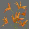 artplants.de Textilblume Tweedia solanoides Pallas, orange, Produktbild-Vorschau 3