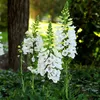 Bloomique - Zestaw 6 sztuk - Digitalis Purp. Dalmatian Podgląd zdjęcia produktu 1