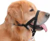 A close-up side profile of a golden retriever dog wearing a black Halti headcollar. Anteprima dell’immagine prodotto