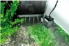 Lucky Reptile Nano Clean Podgląd zdjęcia produktu 3