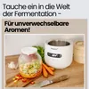 Yaourtière Steba JM 4 FERMENT Voir les images du produit 9