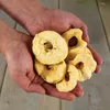 5 kg Lyra Pet® Äpfel getrocknet Produktbild-Vorschau 6