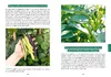 Das Gemüsegarten 1 x 1 Produktbild-Vorschau 5