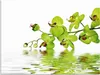 ARTland Wandbild Alu für Innen & Outdoor Schöne Orchidee Produktbild-Vorschau 1