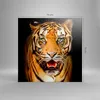 Bild auf Leinwand - Leinwandbild - tiger tier - 70x70cm - Produktbild-Vorschau 3