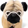 Carl Dick Mops mit Leine stehend ca. 23cm 3503 Kuscheltier, Produktbild-Vorschau 3